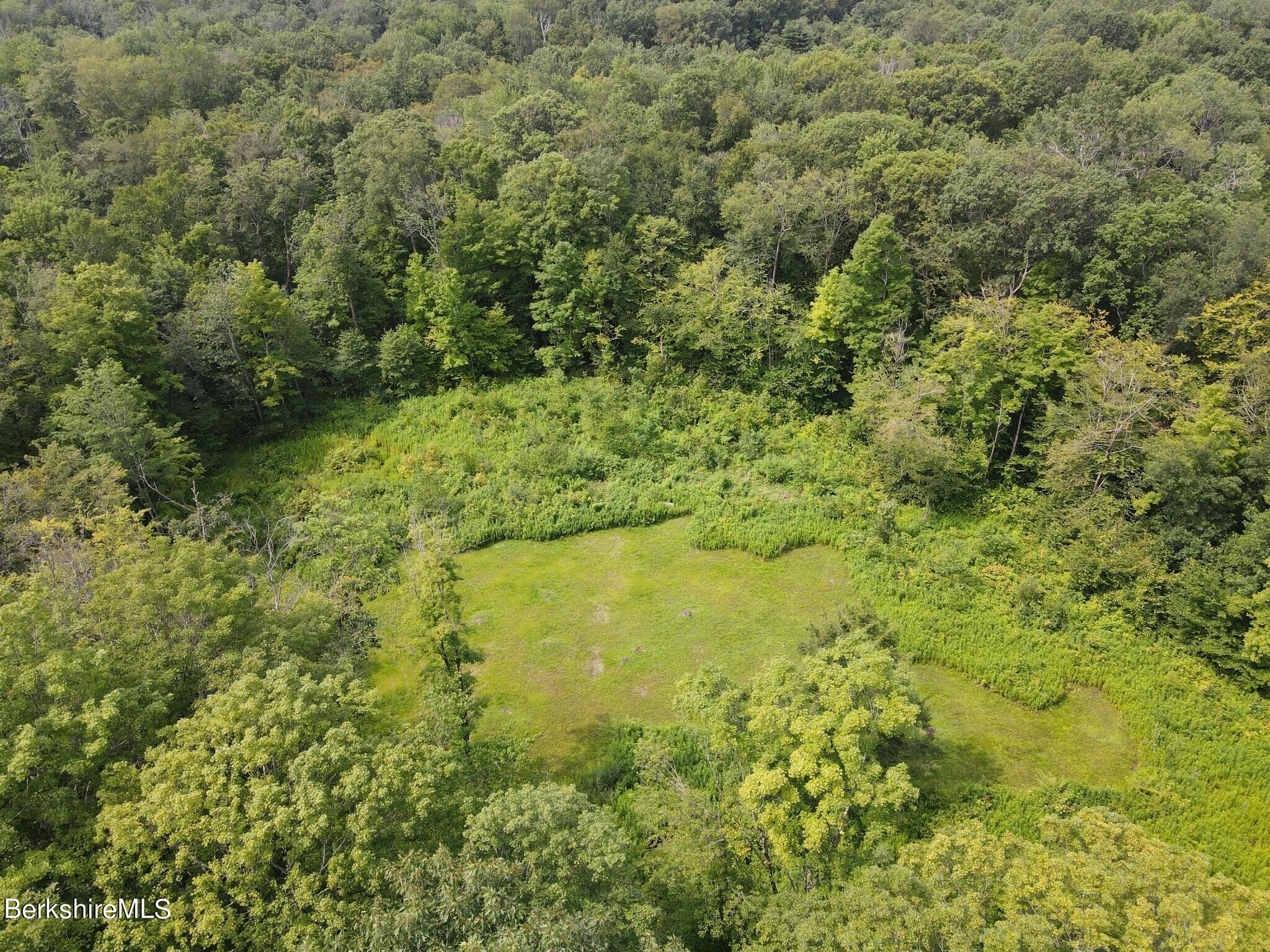 Lot 301 Cascade Street Pittsfield, MA 01201 - Photo 20 of 27 a view of a garden with a tree