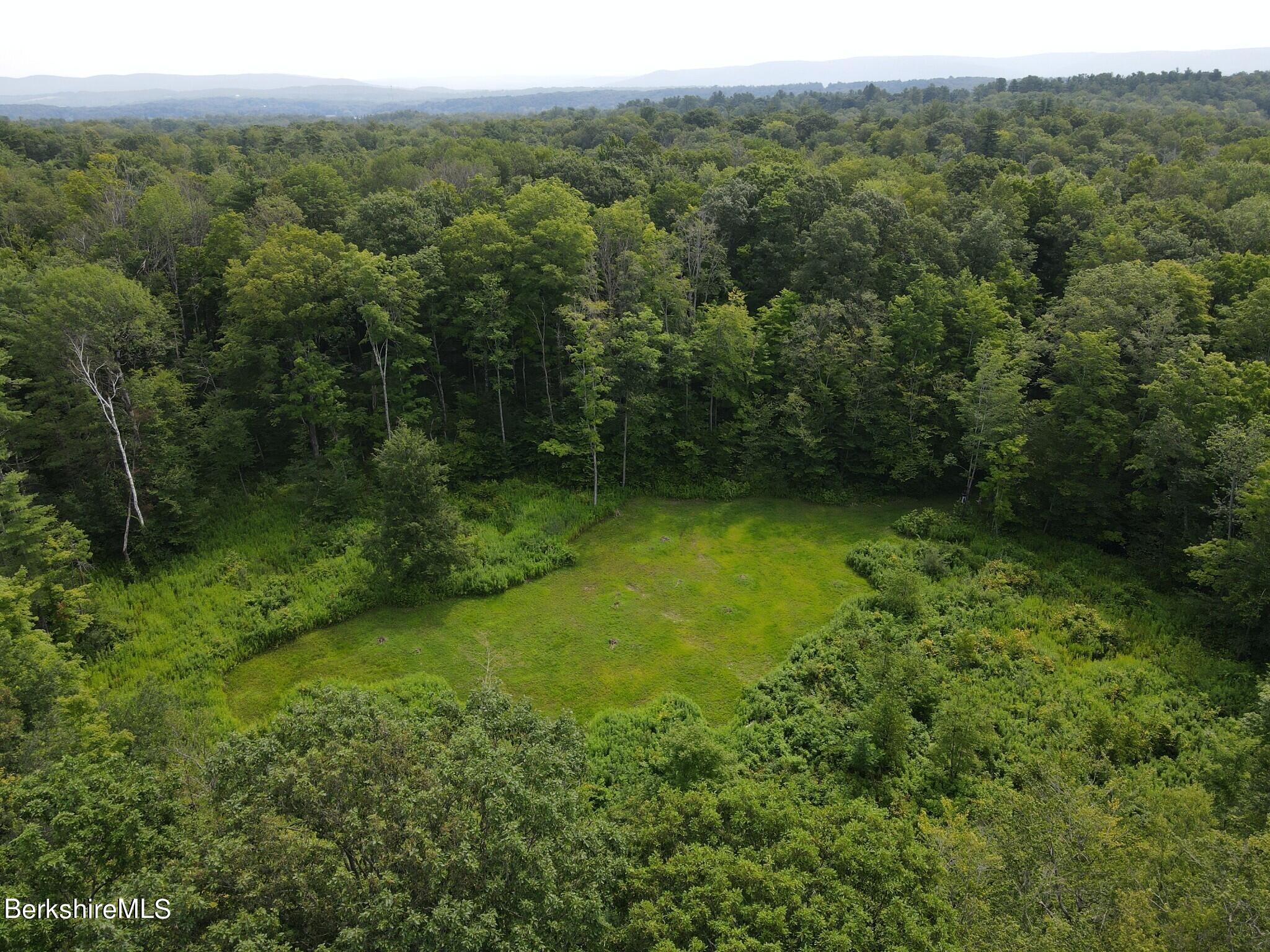 Lot 301 Cascade Street Pittsfield, MA 01201 - Photo 22 of 27 a view of a lush green forest with trees and some houses