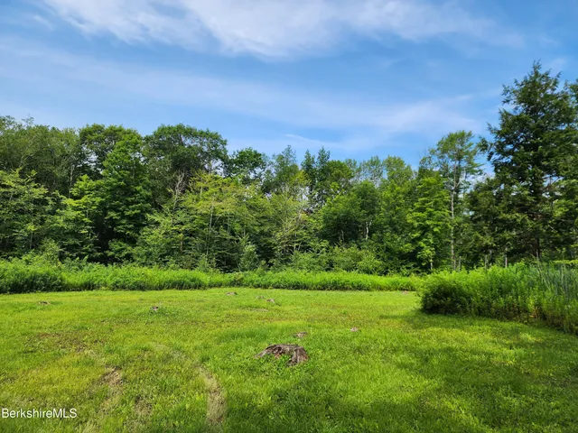 a view of a field of grass and trees