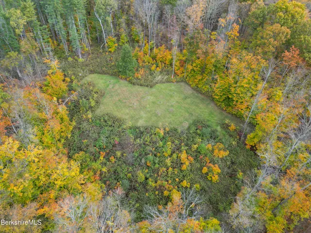 a view of an outdoor space with trees all around