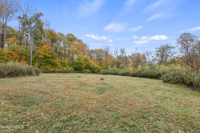 a view of a field with trees in the background