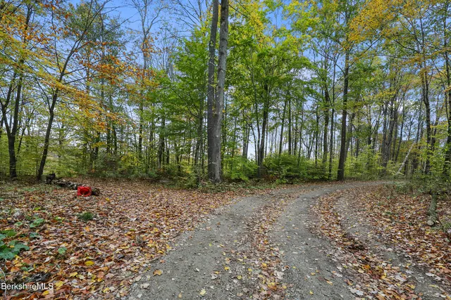 a view of a lush green forest with trees and some houses