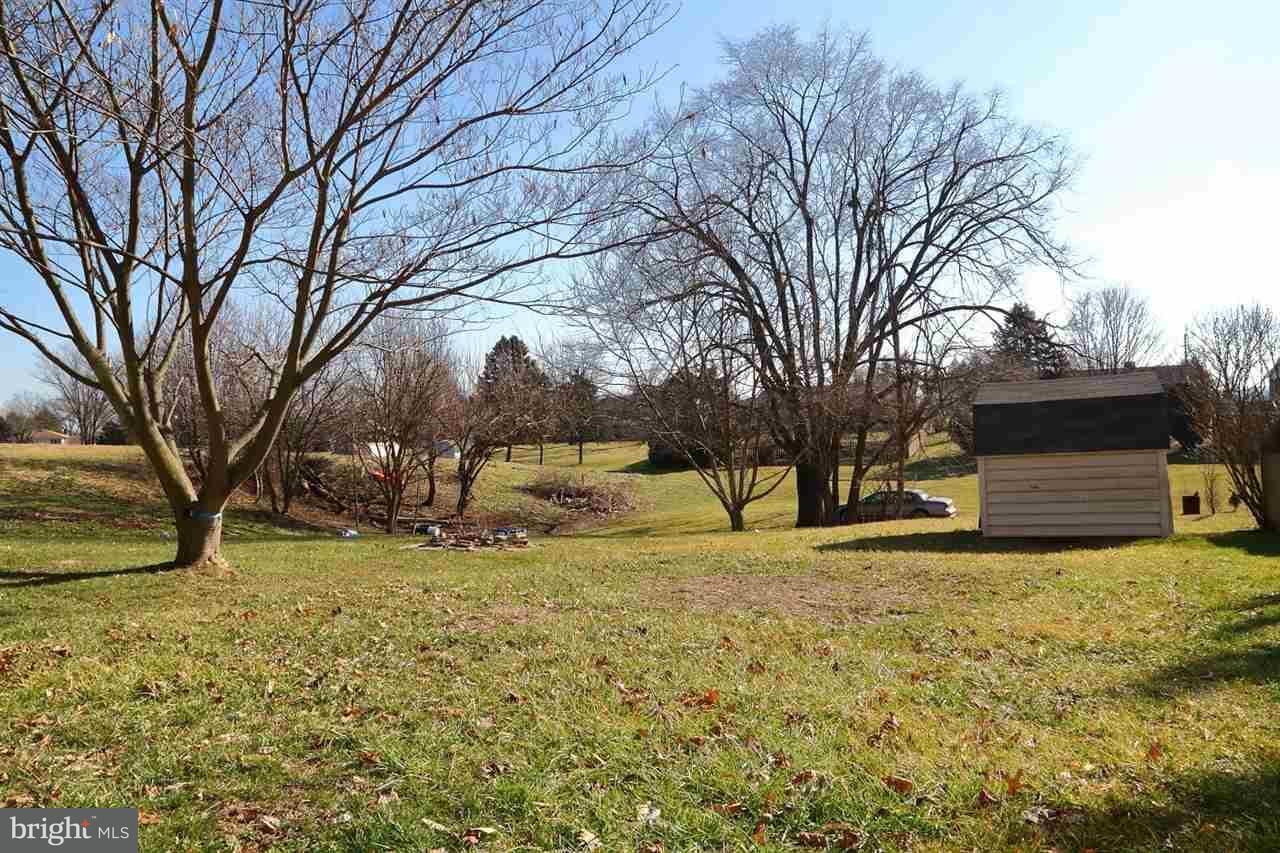 924 Hanover Road York, PA 17408 - Photo 20 of 20 a view of a yard with a house and a large tree