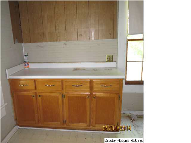 115 Spunky Hollow Road Trafford, AL 35172 - Photo 8 of 9 Gallery Image 8