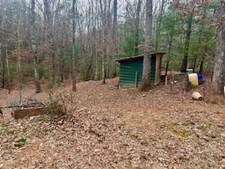 65 Randall Lane Murphy, NC 28906 - Photo 11 of 14 Gallery Image 11