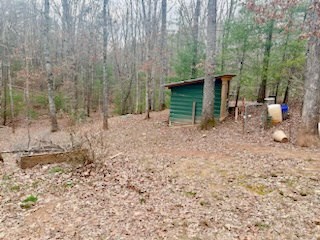 65 Randall Lane Murphy, NC 28906 - Photo 12 of 14 Gallery Image 12