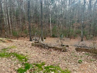 65 Randall Lane Murphy, NC 28906 - Photo 13 of 14 Gallery Image 13