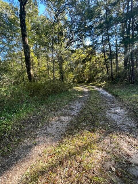 149 Merry Place Ridgeville, SC 29472 - Photo 10 of 20 149 Merry 11