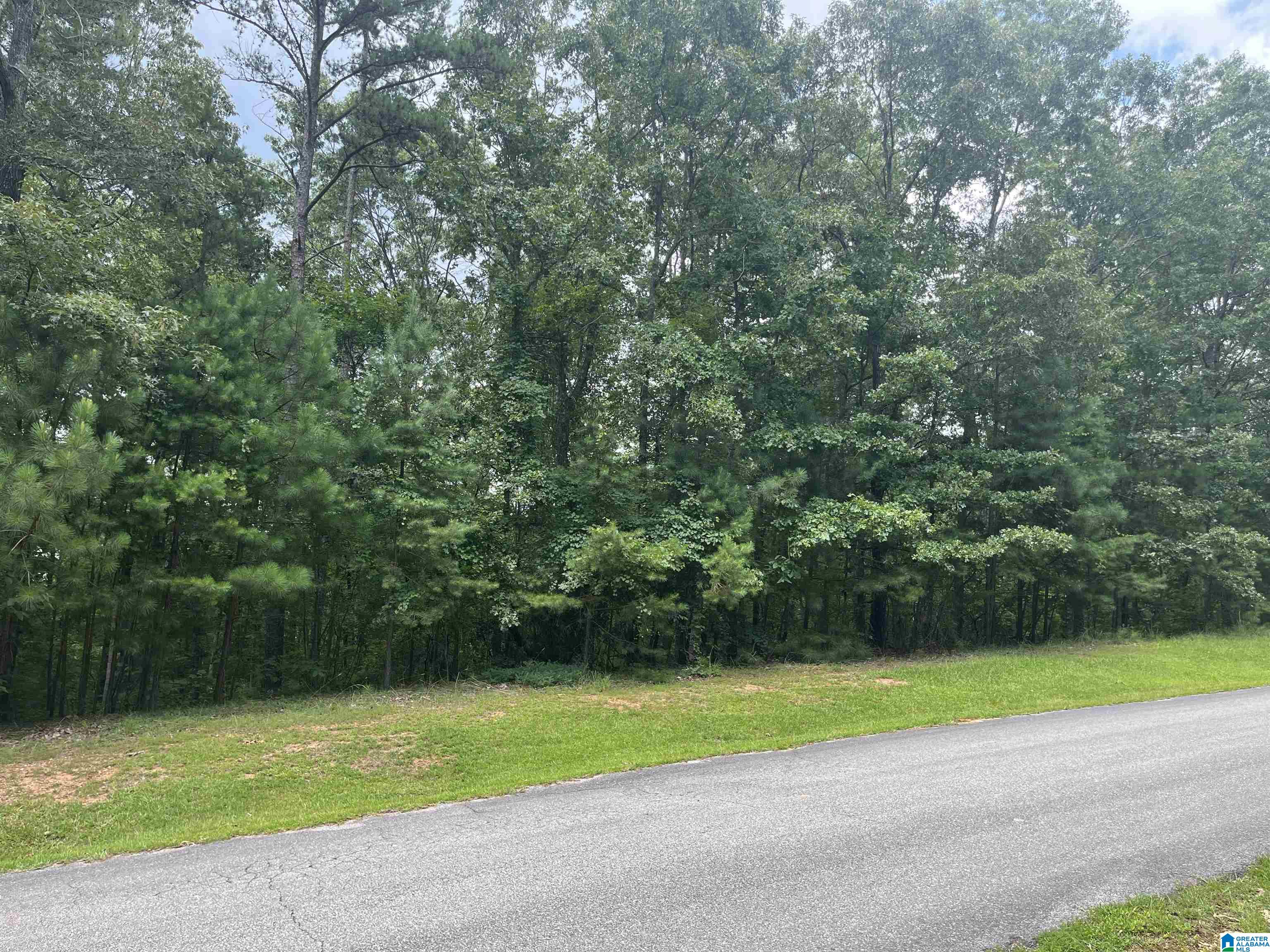 0 Laurel Way, Unit LOT 78 Wedowee, AL 36278 - Photo 1 of 4
