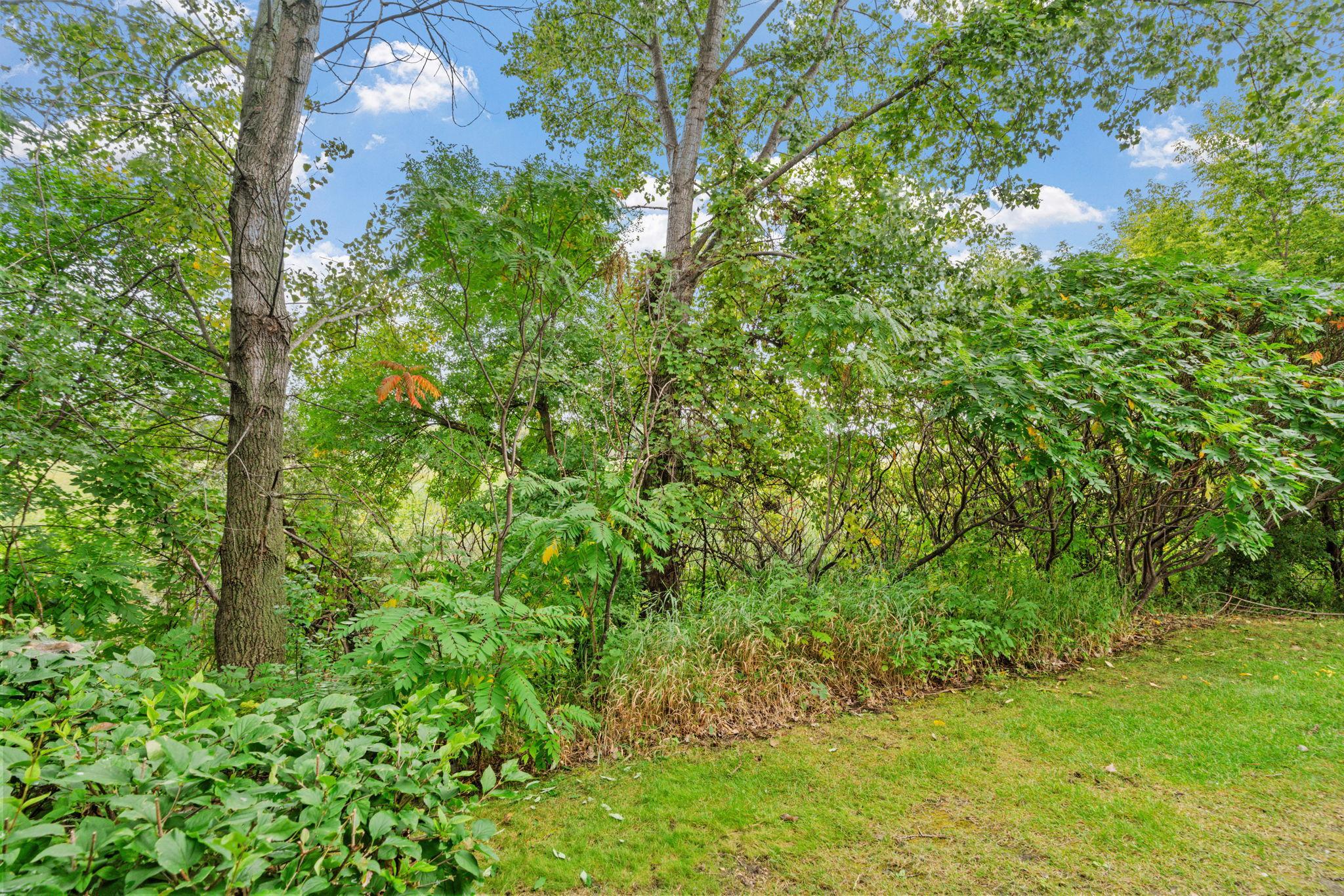 17913 96th Avenue North Maple Grove, MN 55311 - Photo 32 of 44