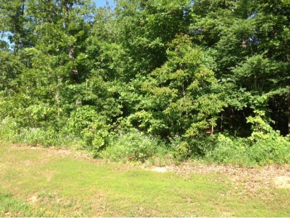 28 Crossing Drive Reeds Spring, MO 65737 - Photo 1 of 1 Primary Photo