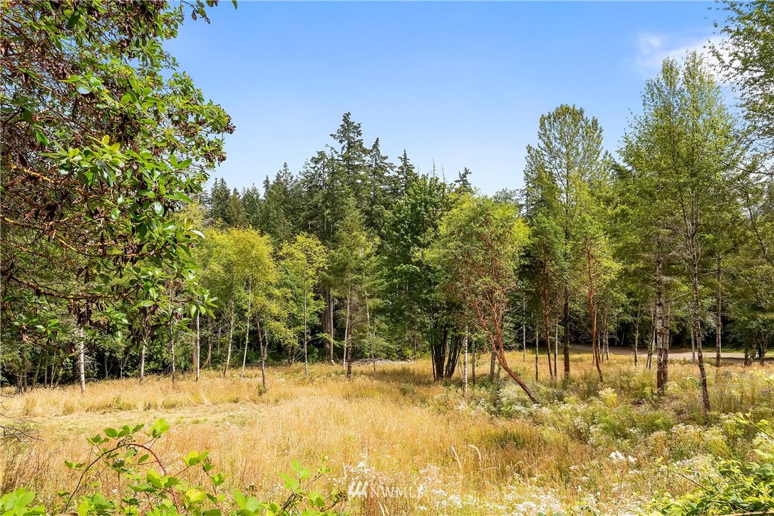 6223 East Grapeview Loop Road Allyn, WA 98524 - Photo 36 of 40 Gallery Image 36
