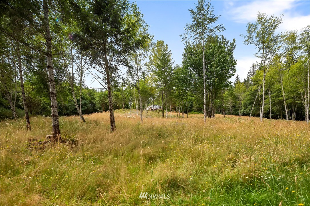 6223 East Grapeview Loop Road Allyn, WA 98524 - Photo 39 of 40 Gallery Image 39