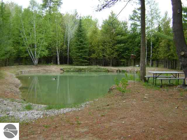 7970 Cram Road Williamsburg, MI 49690 - Photo 2 of 25 1737354-1.JPG