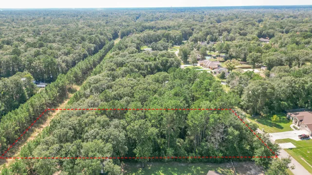 an aerial view of forest