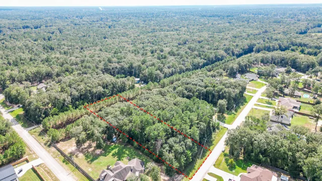 a view of a forest with a forest