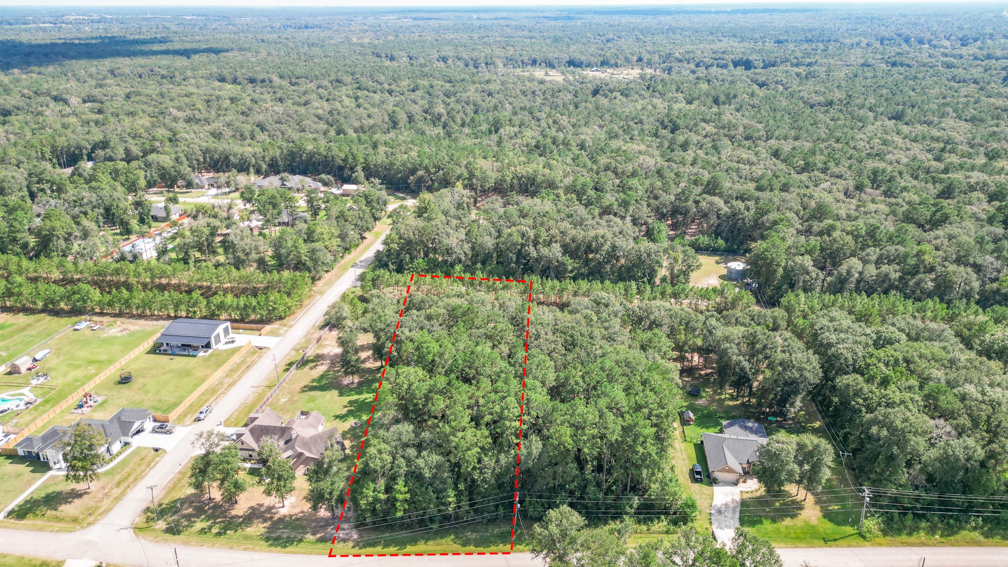 27542 Rio Blanco Drive Splendora, TX 77372 - Photo 9 of 19 a view of a forest with a forest