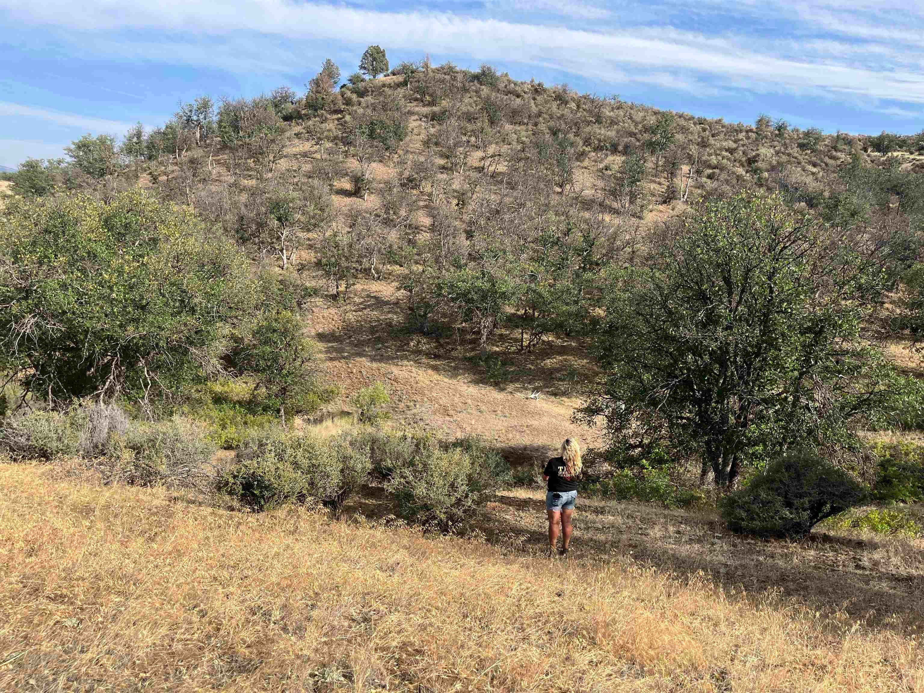 Ager Road Hornbrook, CA 96044 - Photo 15 of 16 Gallery Image 15