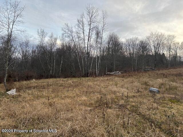 1969 Creek Road Union Dale, PA 18470 - Photo 5 of 7 20260713150335249518000000-o
