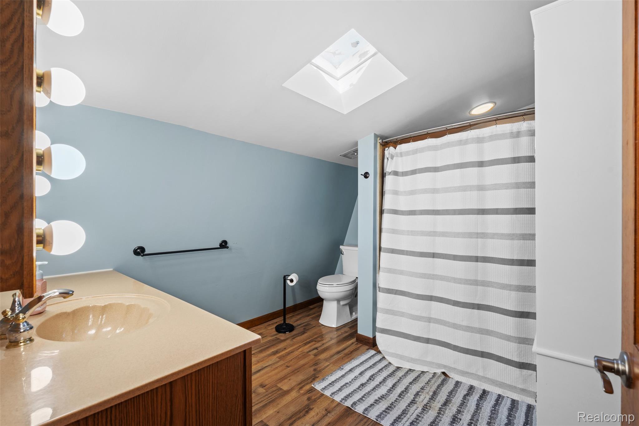 7670 Mi State Road Manchester, MI 48158 - Photo 17 of 53 Bathroom with a skylight, dark wood-type flooring, vanity, and a shower with curtain