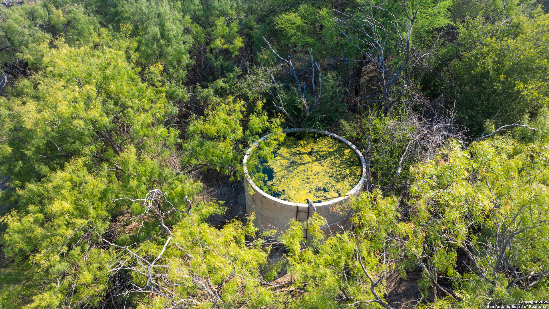 0 Old Hamilton Road Del Rio, TX 78841 - Photo 10 of 32 a view of a garden