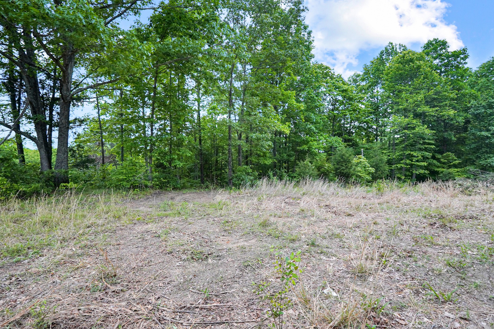 0 Cottrell Ridge Road Dover, TN 37058 - Photo 3 of 13 Gallery Image 3