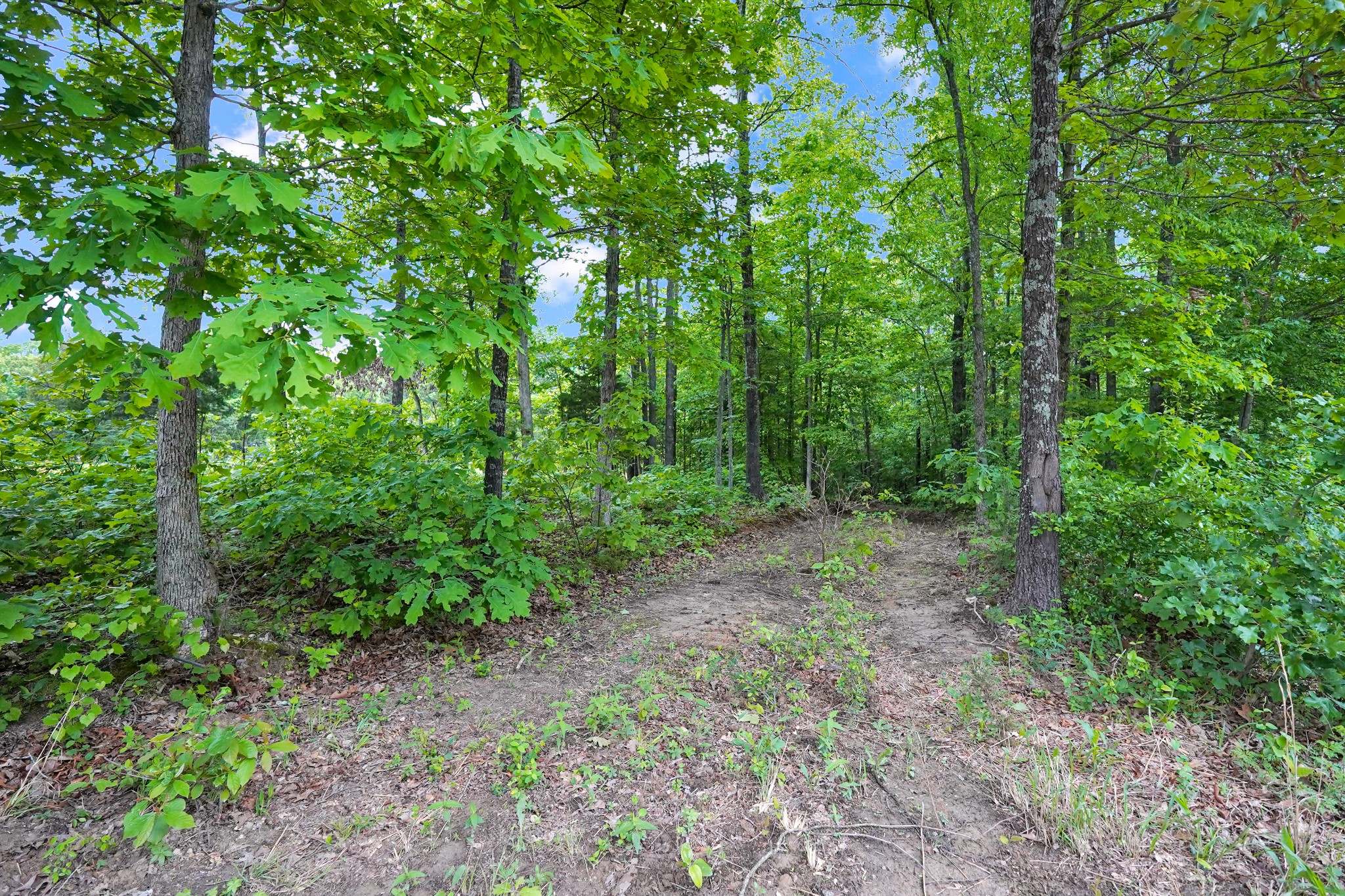 0 Cottrell Ridge Road Dover, TN 37058 - Photo 4 of 13 Gallery Image 4
