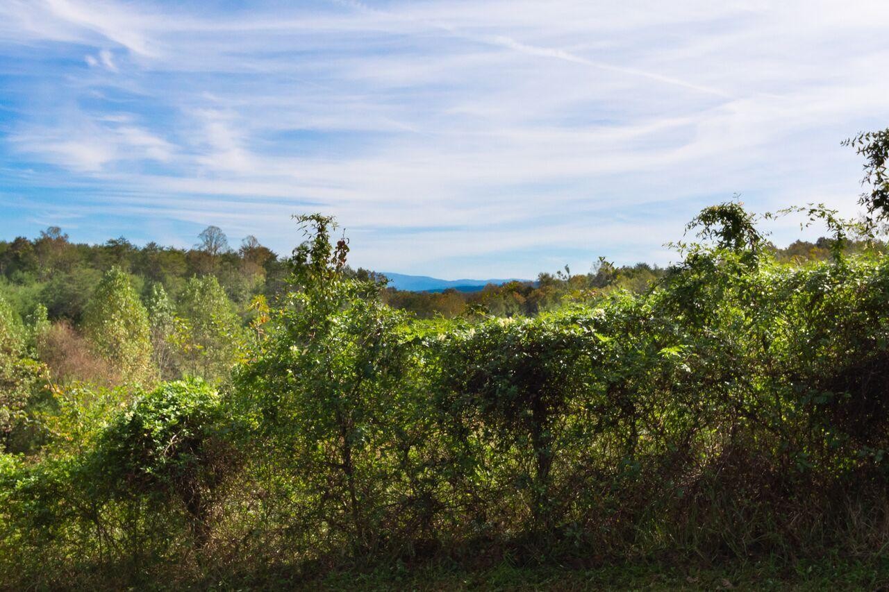 596 Griffith Branch Road Madisonville, TN 37354 - Photo 2 of 21 Gallery Image 2