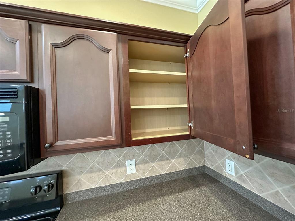 11801 Essington Street New Port Richey, FL 34654 - Photo 16 of 79