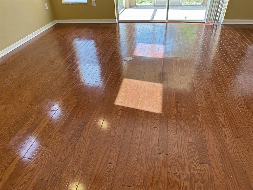 11801 Essington Street New Port Richey, FL 34654 - Photo 17 of 79