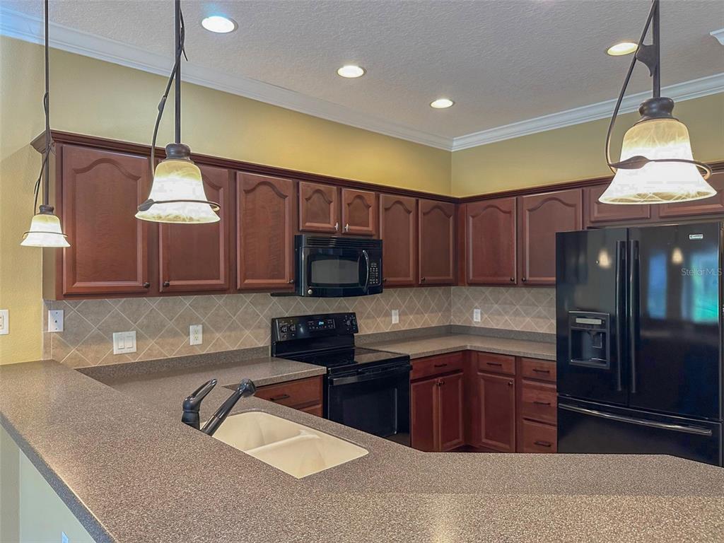 11801 Essington Street New Port Richey, FL 34654 - Photo 23 of 79 a kitchen with stainless steel appliances granite countertop a sink a stove and a wooden floors