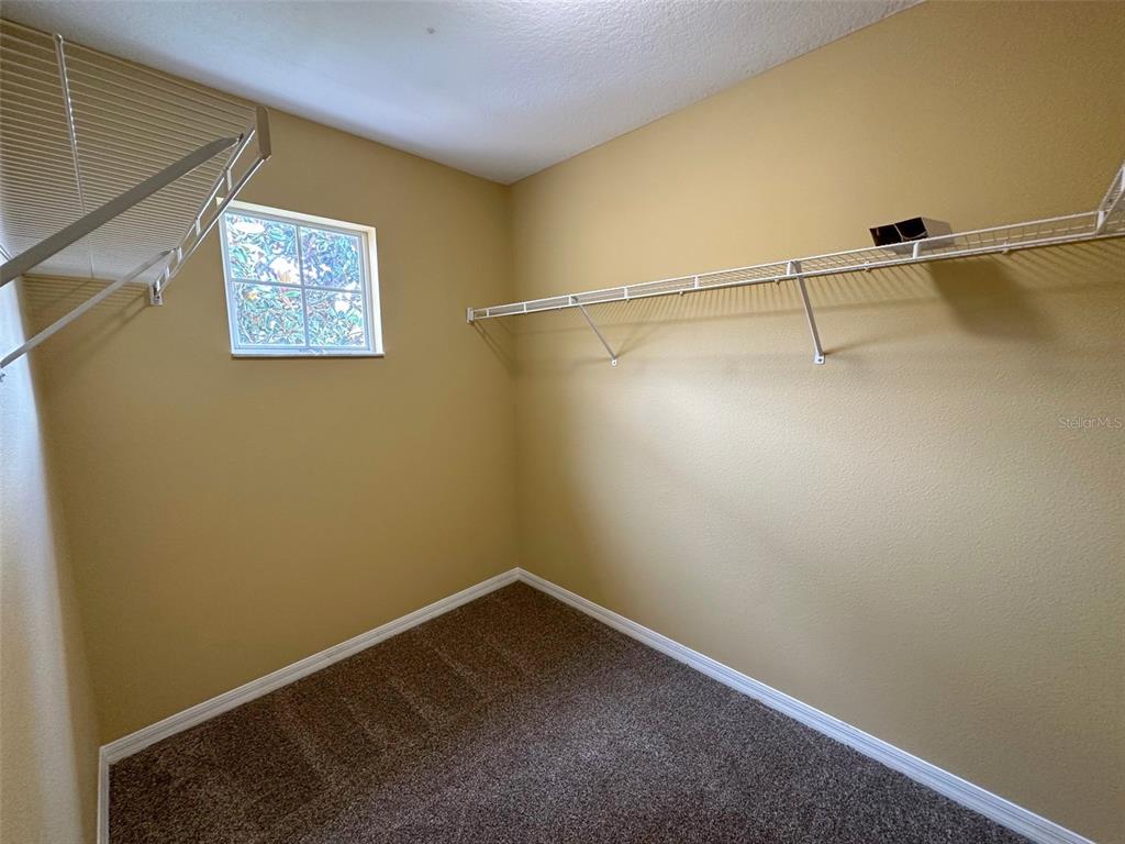11801 Essington Street New Port Richey, FL 34654 - Photo 34 of 79 a view of a room with racks on the wall