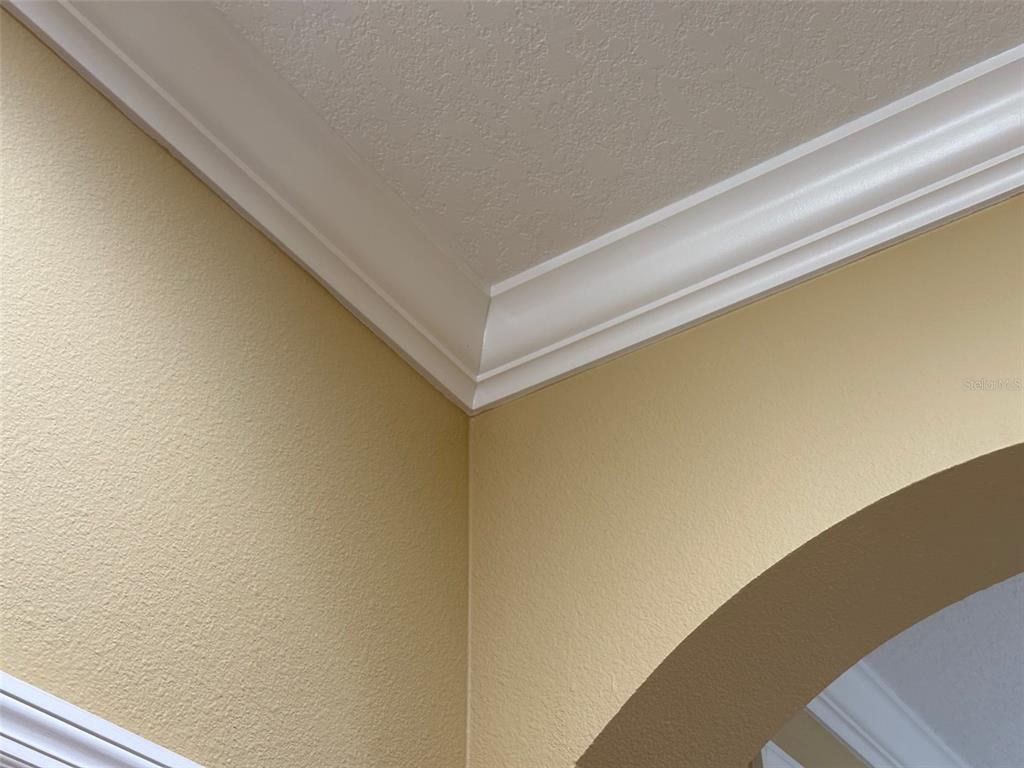 11801 Essington Street New Port Richey, FL 34654 - Photo 37 of 79