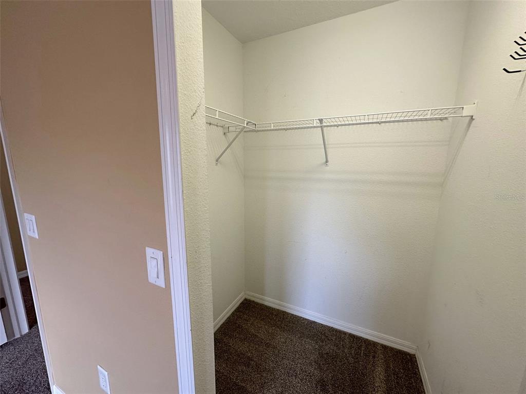 11801 Essington Street New Port Richey, FL 34654 - Photo 50 of 79