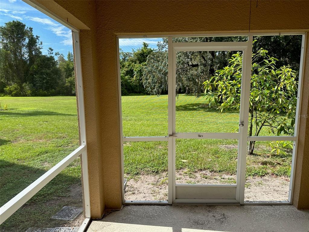 11801 Essington Street New Port Richey, FL 34654 - Photo 55 of 79 a view of a garden from a window