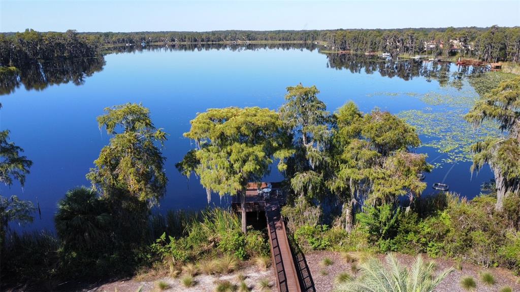 11801 Essington Street New Port Richey, FL 34654 - Photo 63 of 79 a view of a lake