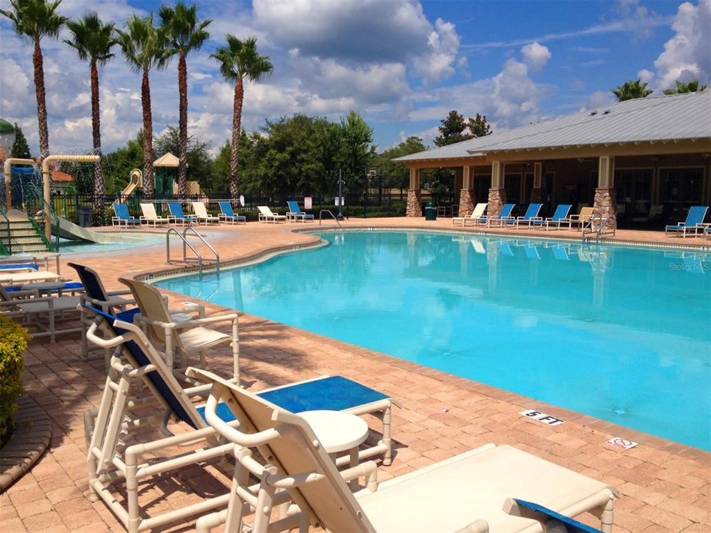 11801 Essington Street New Port Richey, FL 34654 - Photo 76 of 79 a view of a swimming pool with a patio and a yard