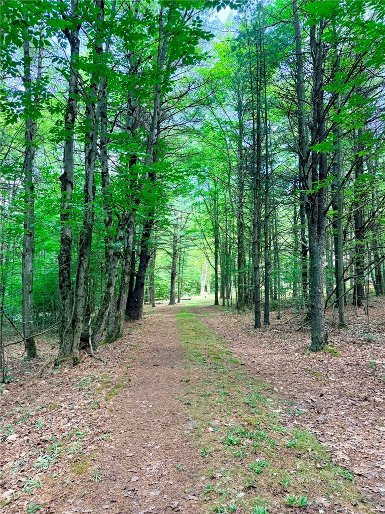 1667 Coon Hollow Road Orange, NY 14812 - Photo 25 of 41 Driveway