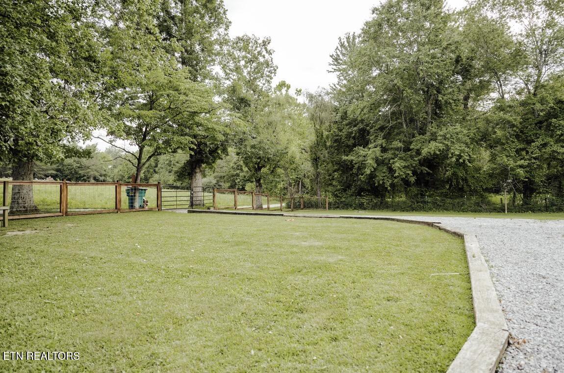 935 Pine Tree Road Jamestown, TN 38556 - Photo 21 of 37 IMG_8707