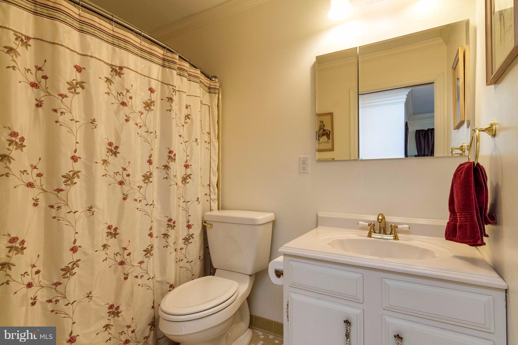 18348 Sharon Road Triangle, VA 22172 - Photo 19 of 30 Master Bath on main level