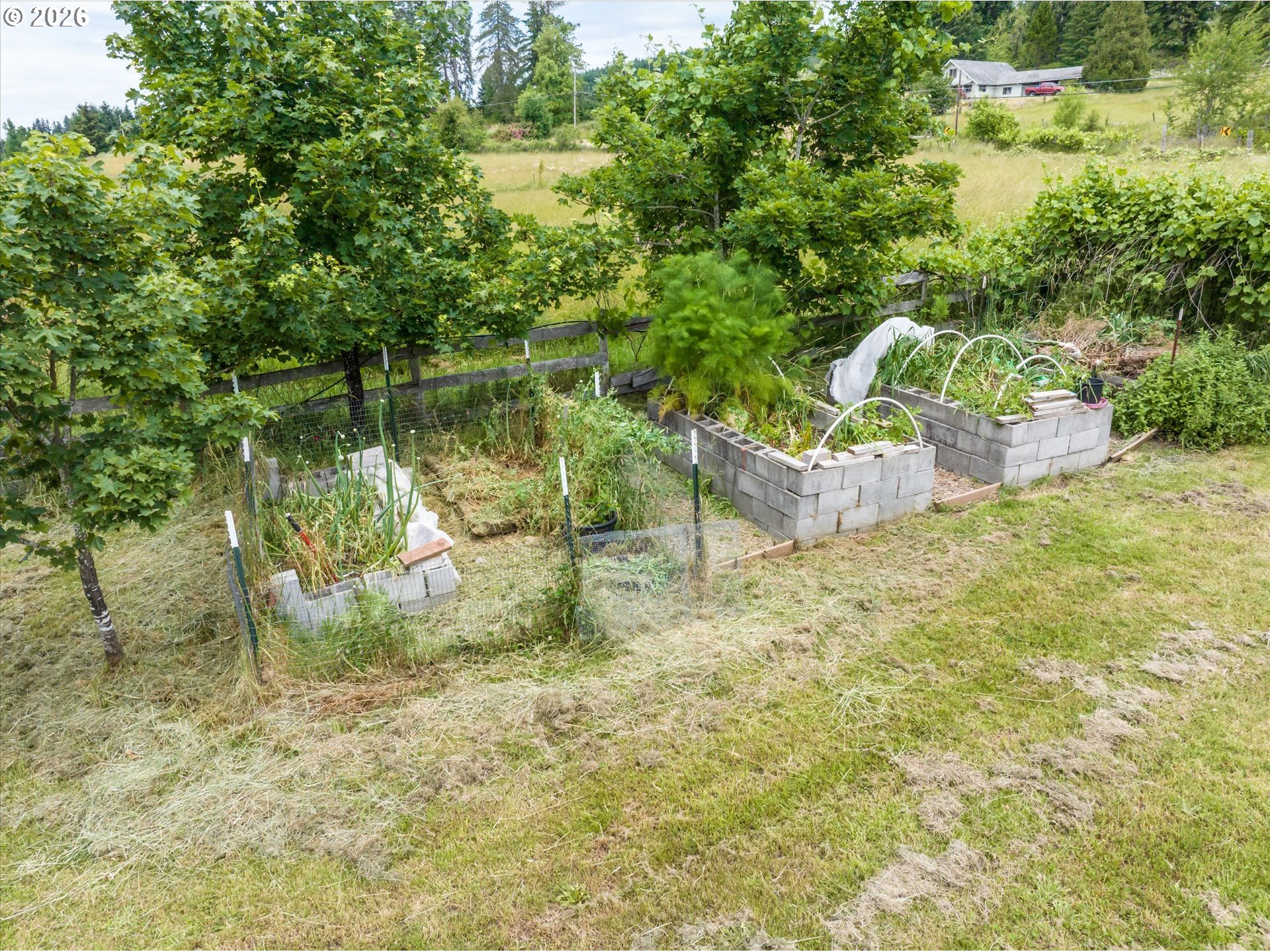 82086 Lost Creek Road Dexter, OR 97431 - Photo 33 of 42 Garden