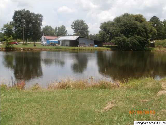 27216 Highway 79 Locust Fork, AL 35097 - Photo 7 of 9