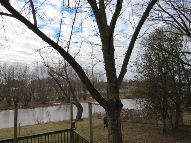 a view of a water fountain and trees