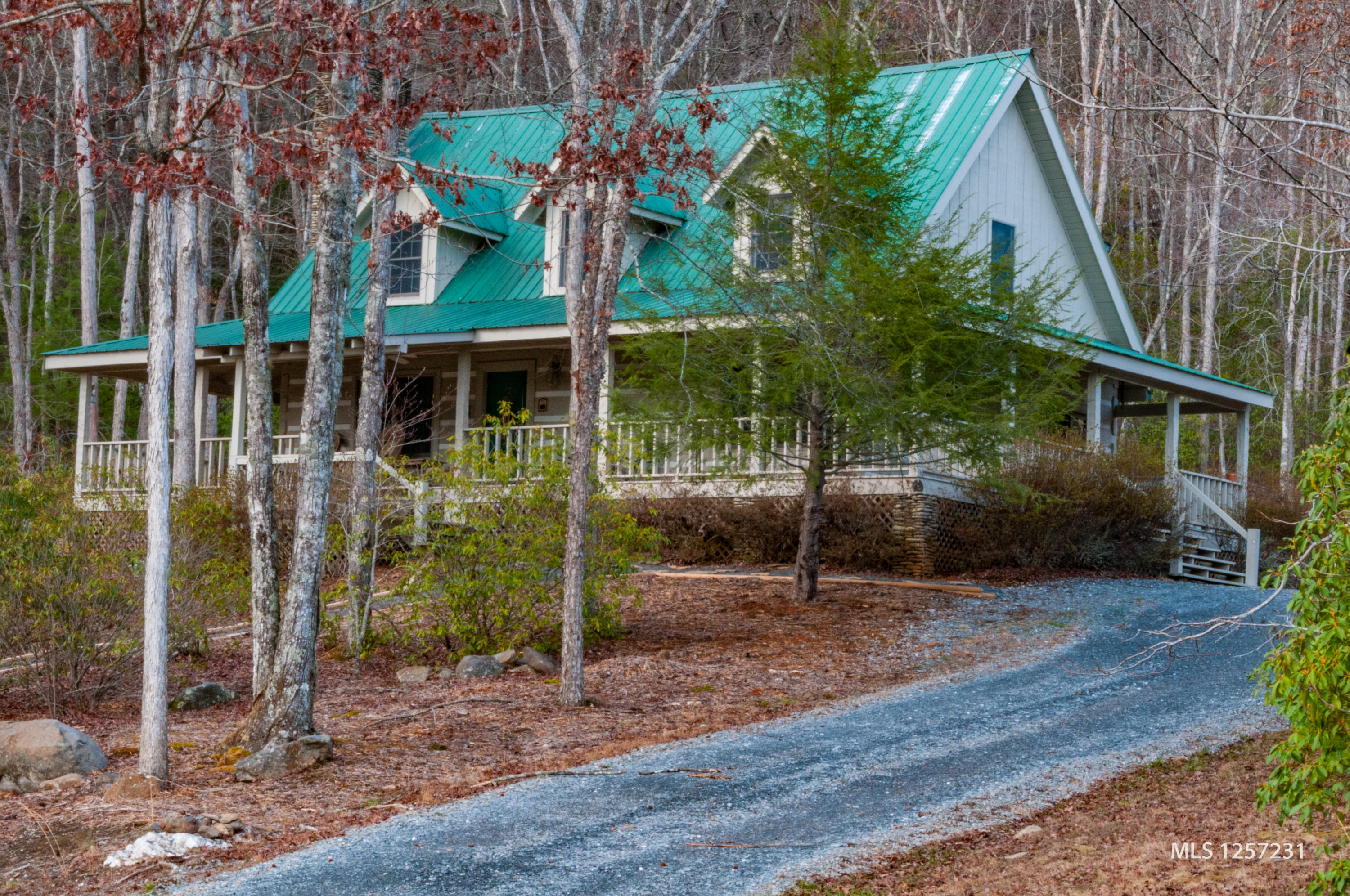 442 Johnson Cove Road Copperhill, TN 37317 - Photo 2 of 42 Drive Way and House