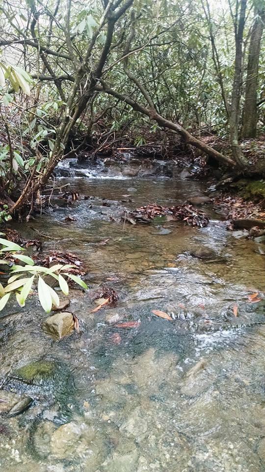 442 Johnson Cove Road Copperhill, TN 37317 - Photo 22 of 42 Johnson Creek