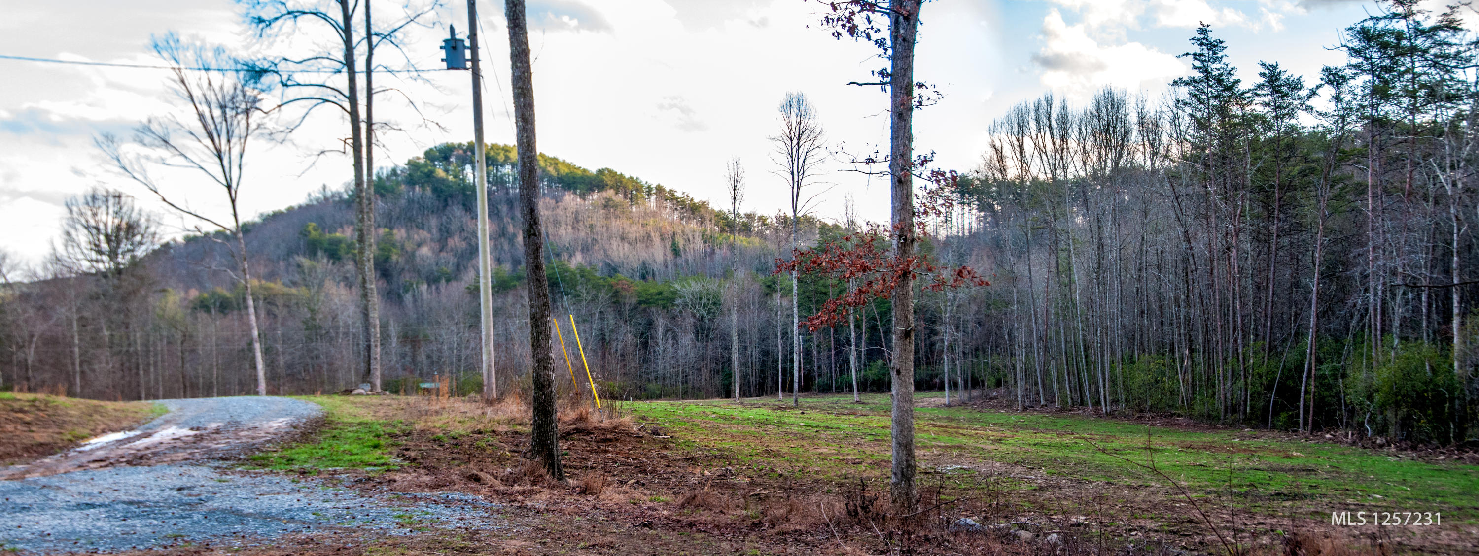 442 Johnson Cove Road Copperhill, TN 37317 - Photo 4 of 42 Front Yard View