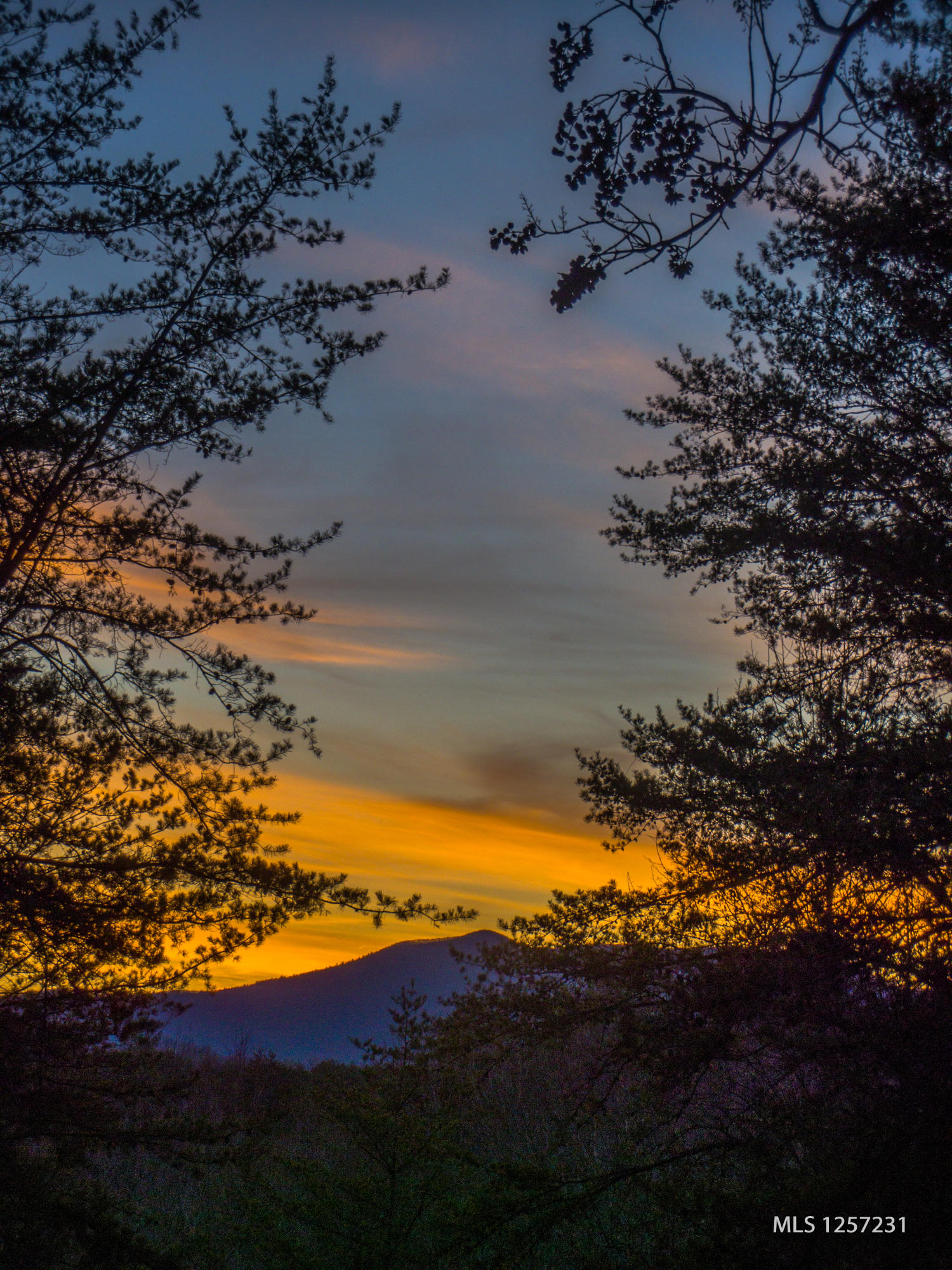 442 Johnson Cove Road Copperhill, TN 37317 - Photo 31 of 42 Blue Ridge Mountain Sunsets