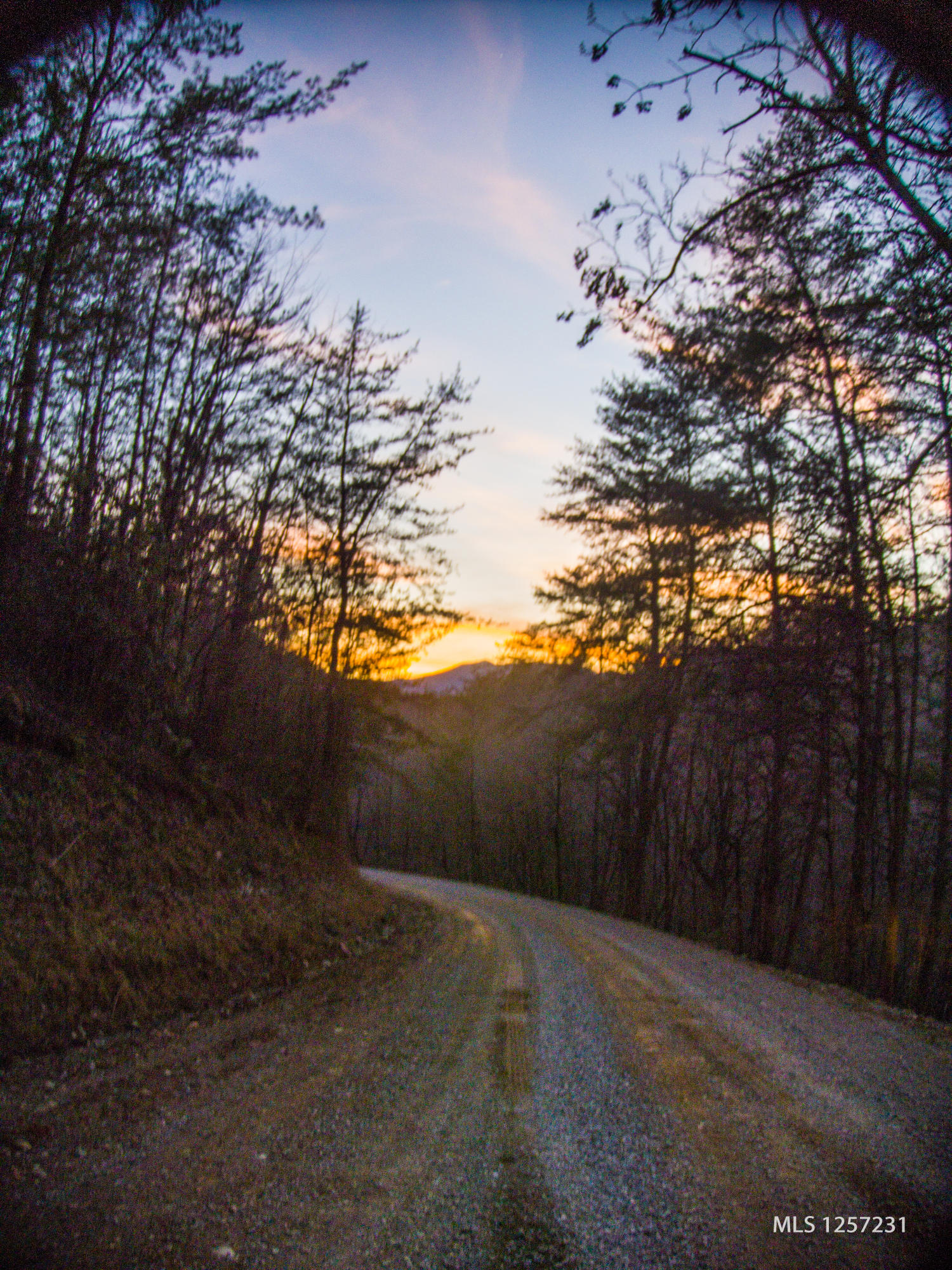 442 Johnson Cove Road Copperhill, TN 37317 - Photo 32 of 42 Johnson Cove Rd. Scenic Views