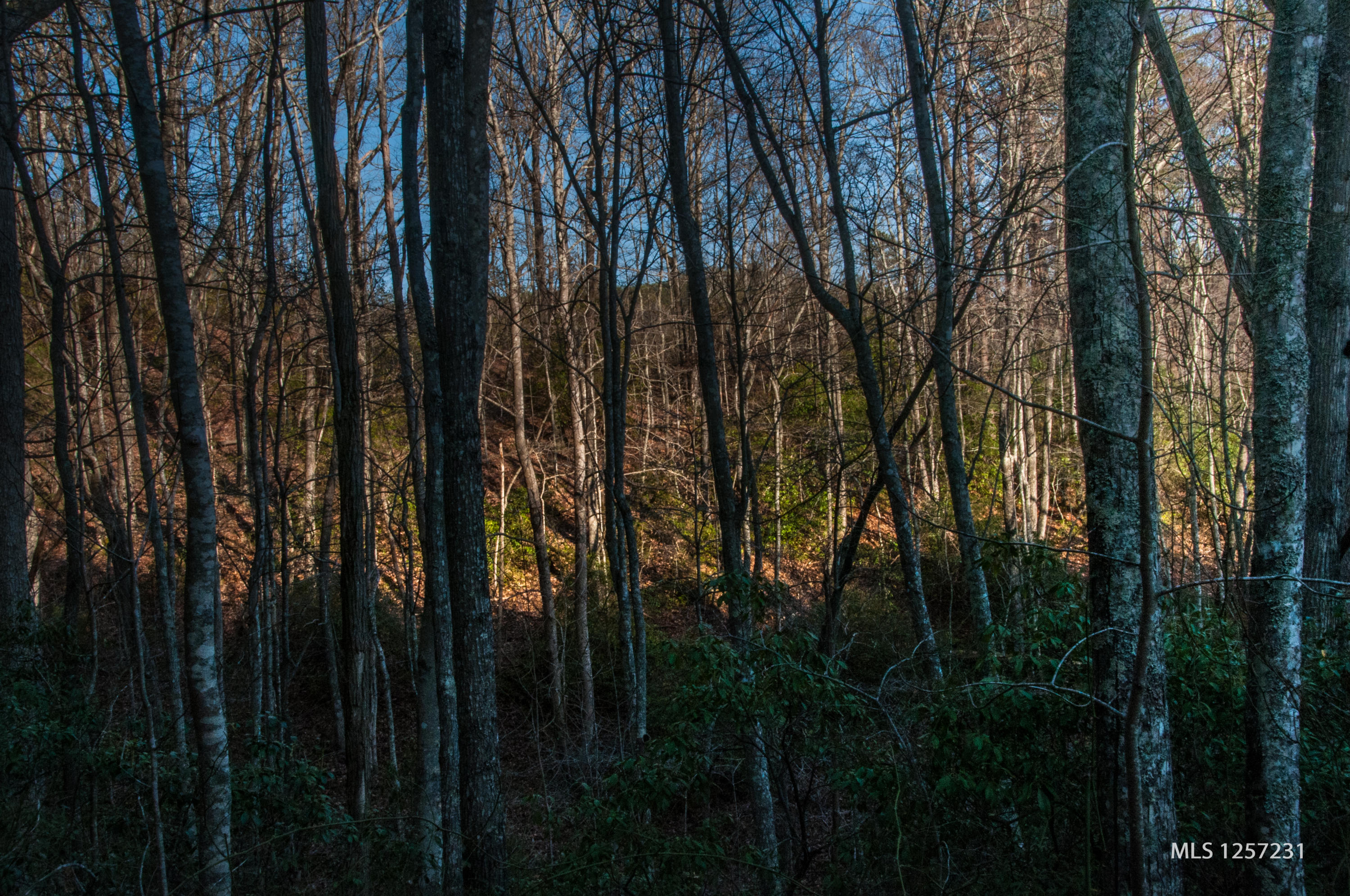 442 Johnson Cove Road Copperhill, TN 37317 - Photo 38 of 42 Mountain Views