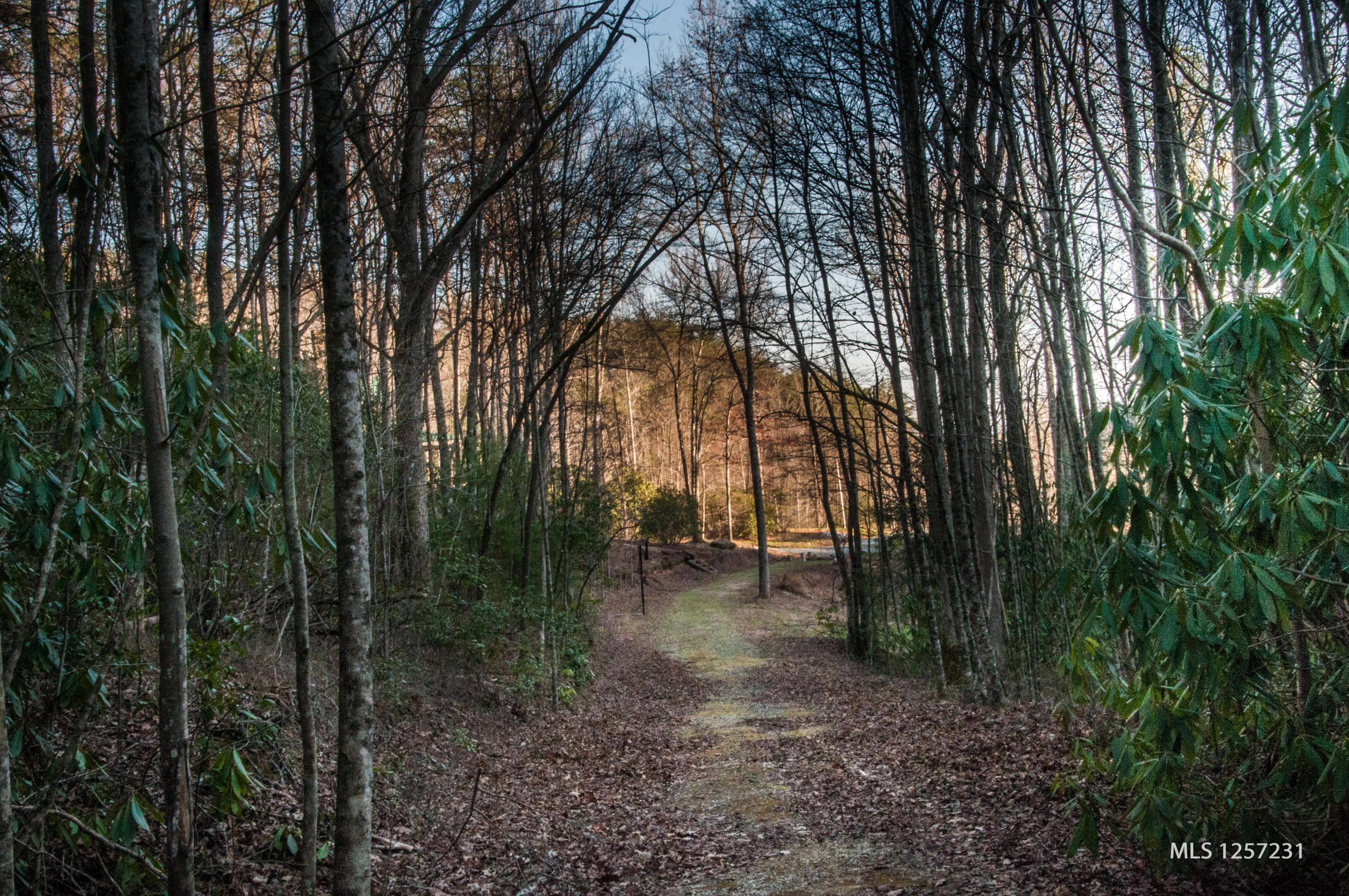 442 Johnson Cove Road Copperhill, TN 37317 - Photo 39 of 42 Mountain Trails